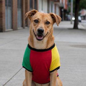 Camiseta para perro reggae Bob Marley